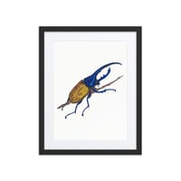 Image 2 of Framed poster of Hercules Beetle