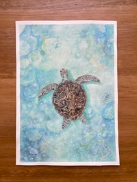 Image 1 of Green Turtle ORIGINAL 