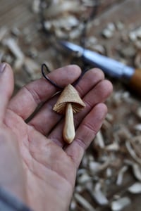 Image 3 of Birch Mushroom 