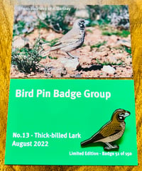 Image 1 of Thick-billed Lark - No.13 - Bird Pin Badge Group - Enamel Pin Badge