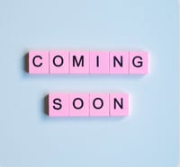 Christmas Wreath - Coastal - Large