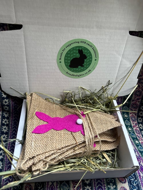 Image of Handmade hessian bunny bunting (customs colours available)