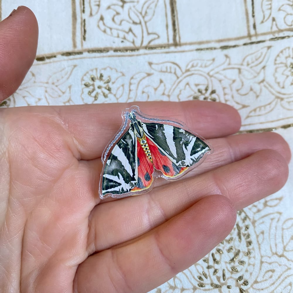Image of Jersey Tiger Moth Pin