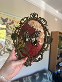 Image 3 of Asian Swallowtail Antique Frame