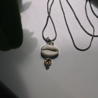 Image 2 of Cowrie Shell // Citrine 
