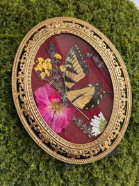 Image 3 of Antique Swallowtail Frame