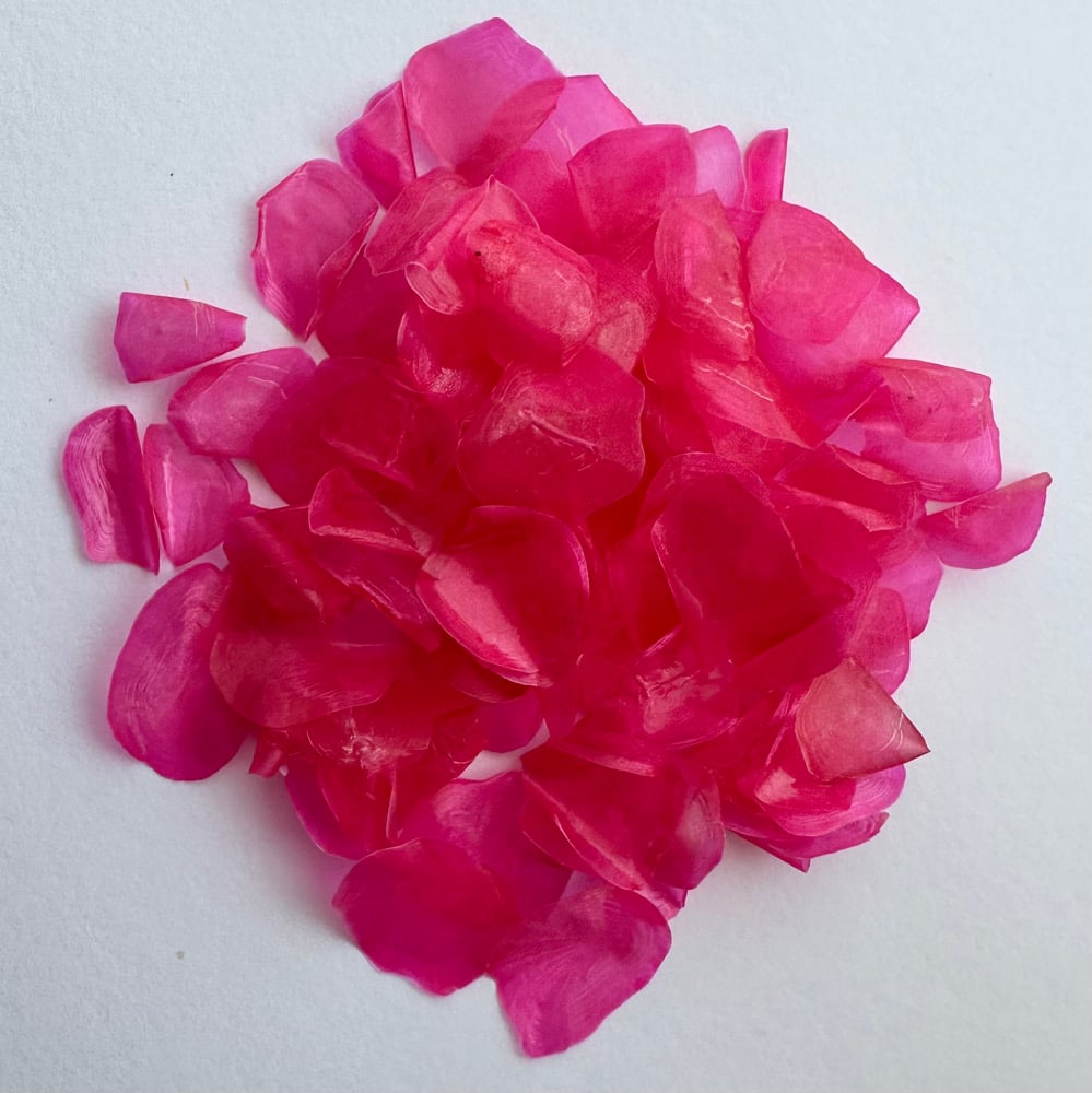 Image of Dyed fish scales - Neon pink