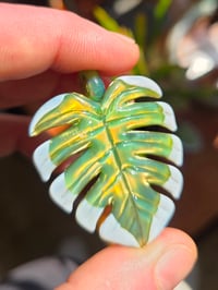 Image 2 of Green uv variegated monstera leaf pendant 