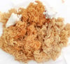 Sea moss   - Wildcrafted 100%