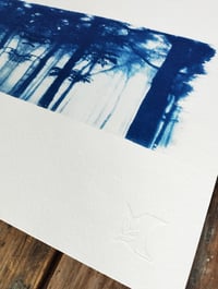 Image 4 of Cyanotype "Forêt"