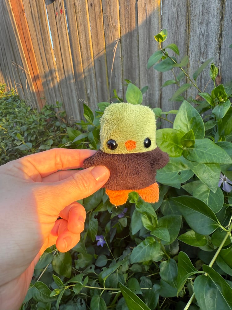 Image of baby duck dark brown body