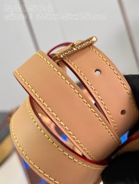 Image 6 of LV Leather Damier Bag