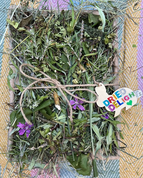 Image of Recycled deep tray filled with mixed dried forage *limited stock!*