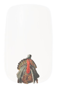 Image 1 of Minx nail art  ( Pilgrim Turkey)