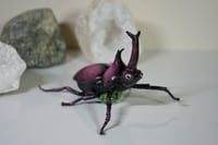 Image 1 of Japanese Rhino Beetle
