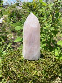 Image 2 of Rose Quartz Obelisk 