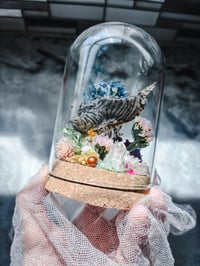 Image 4 of RESERVED XL Japanese Angler Deep Sea RARE