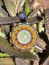 Image 3 of galactic dahlia 