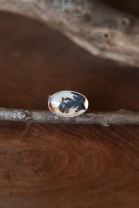 Image 1 of Spring Agate Ring No. 3