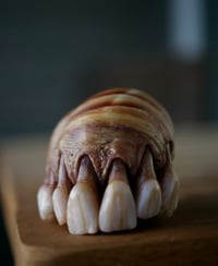 Image 15 of Dental Snull sculpture- blonde bone color, OOAK
