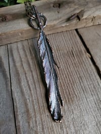 Image 3 of Real Feather (#2)