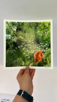 Image 2 of Fox And Cow Parsley - Archive Quality Print