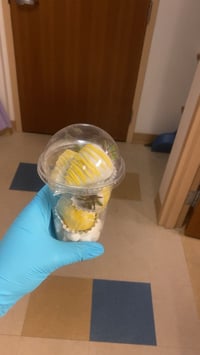 Chocolate covered strawberries 