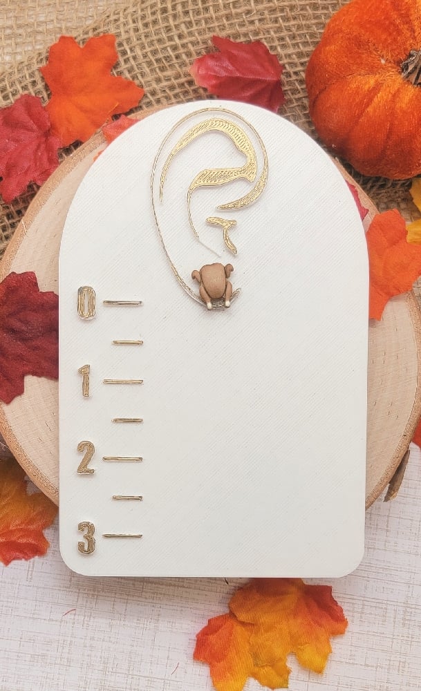 Image of Turkey Studs