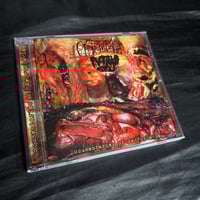 Image 1 of PUTRID STU / CYSTGURGLE SPLIT CD