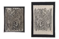 Image 5 of Hawaiian Honeycreepers 