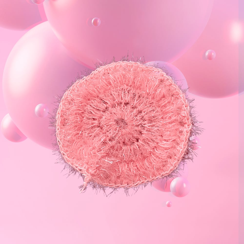 Image of Cleaning scrubbie