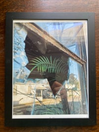 Image 11 of Framed Prints