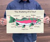 Anatomy of a Trout 11x17 Screen Print