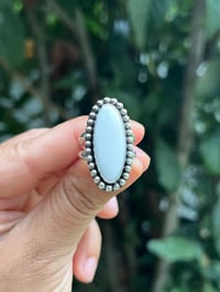 Image 1 of Beaded Chalcedony Sz 7