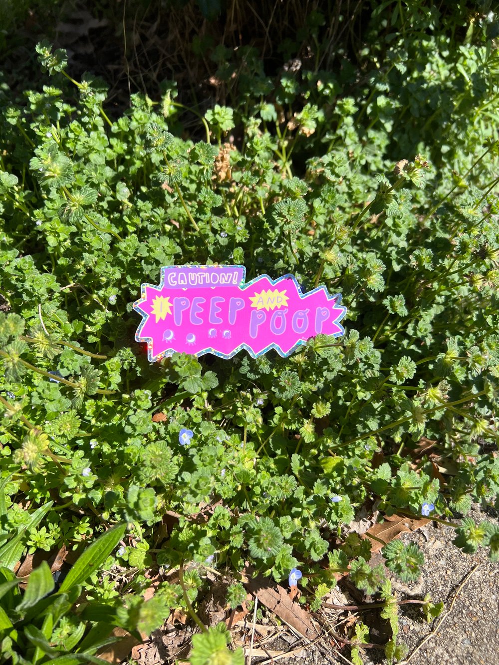 Image of caution: i peep and poop