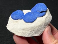 Image 6 of Azurite Suns On Matrix Specimen #2482