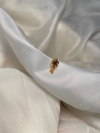 Image 2 of RED EYE FLOWER 