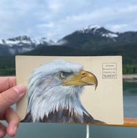 Image 1 of Bald Eagle on vintage Alaska postcard 