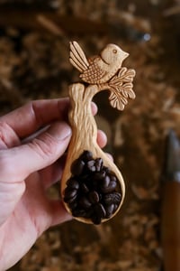 Image 5 of The Wren in The Oak Coffee Scoop