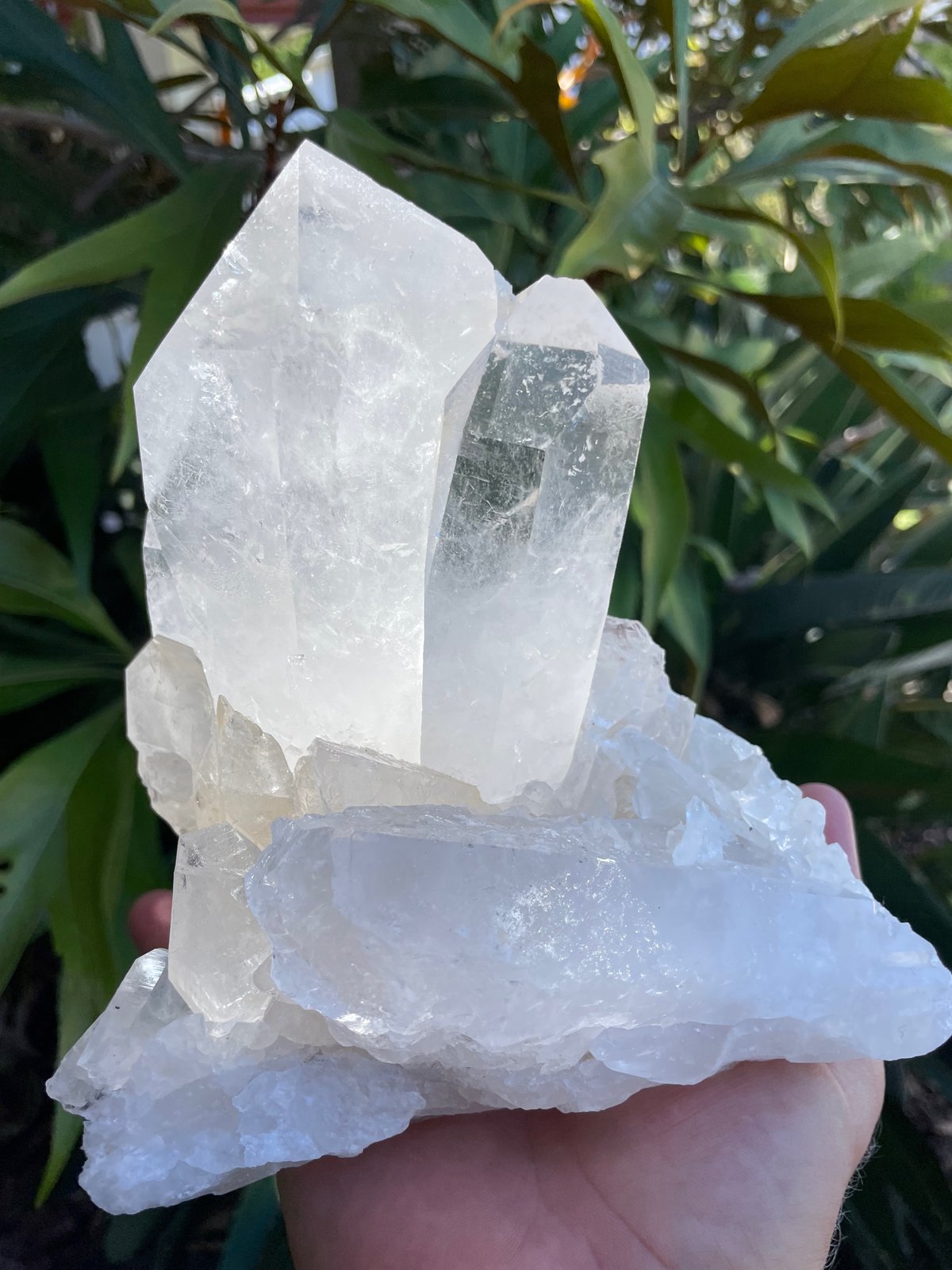 Clear Quartz Crystal Points Cluster #1461 | Lumiere Crystals