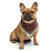 Image 1 of DISOBEY LOGO  ALL-OVER PRINT BANDANA