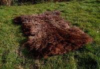 Image 2 of Harting Black Sheepskin #4