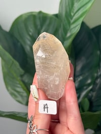 Image 1 of SILVER AND BLACK RUTILE IN QUARTZ GUSHER FREEFORMS -BRAZIL-