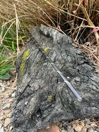 Image 3 of Slender bog oak long wand.