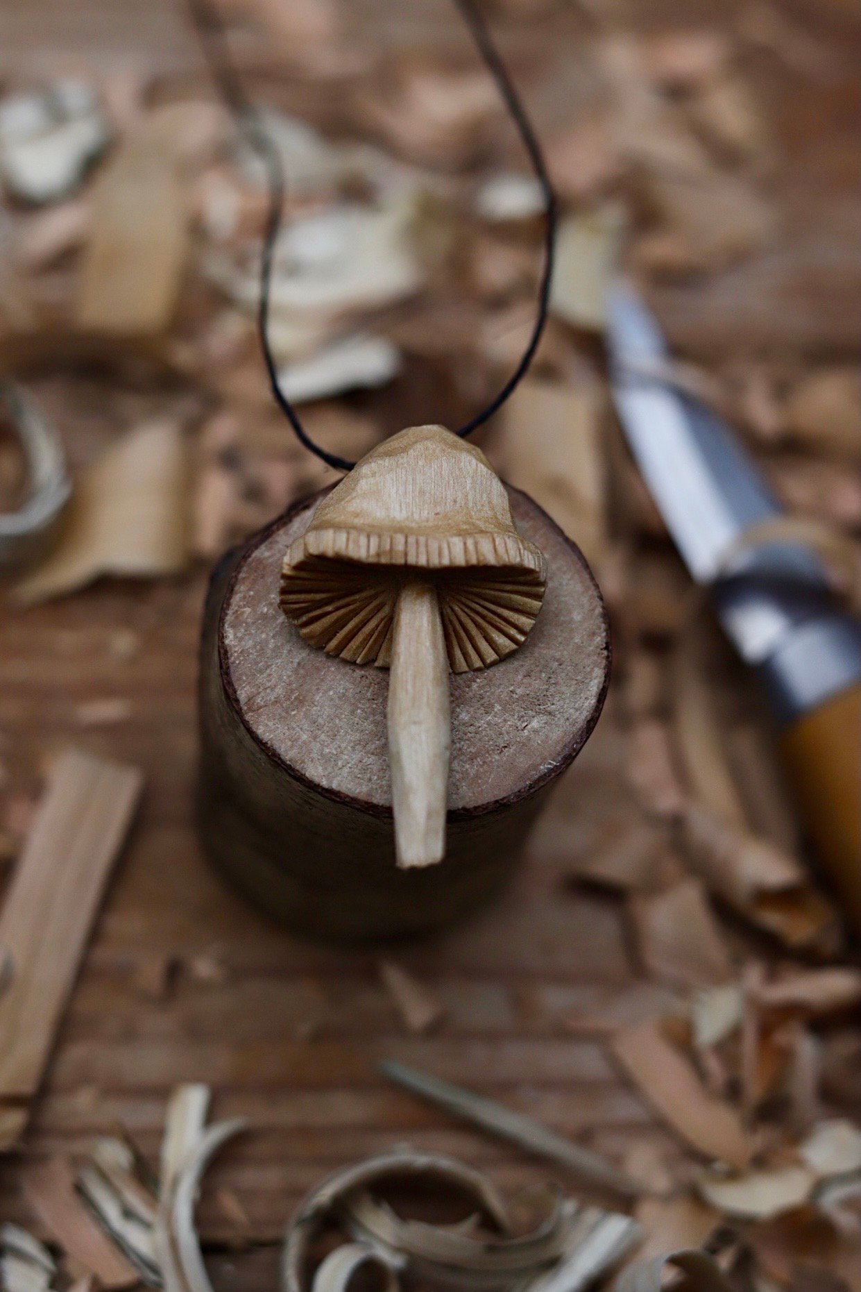 Sealed Mushroom Pendant with Chain – LeatherWoodCollection
