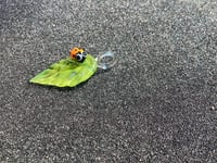 Image 3 of Green Leaf W/ Orange Bug Eyed Leadybug pendant 