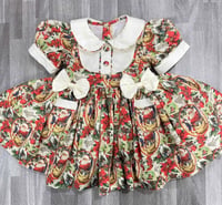 Santa dress preorder link only 