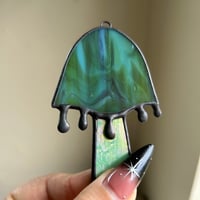 Image 4 of Inky Cap Mushrooms