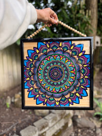 Image 1 of Rooted ✨