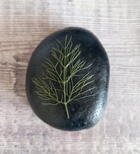 Image 2 of Wildflower Pebbles 